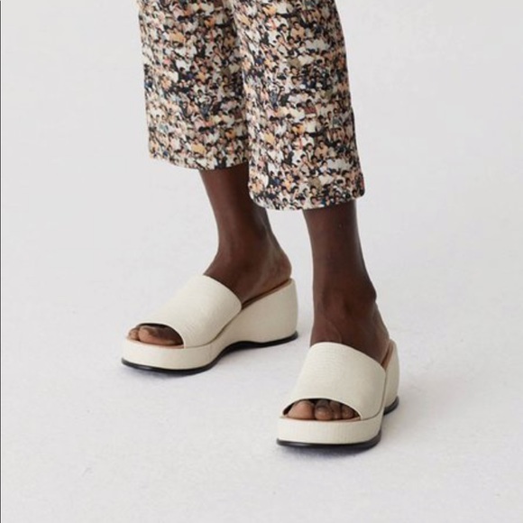 Looking for these beauties - Picture 4 of 5